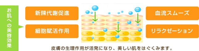 お肌への美容効果 新陳代謝促進 細胞賦活作用 血流スムーズ リラクゼーション