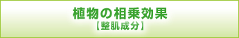 植物の相乗効果 整肌成分