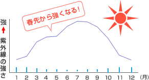 春先から強くなる